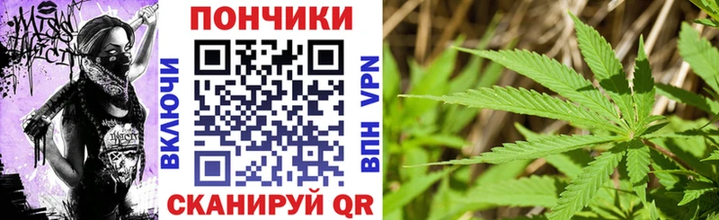 Купить закладку Новоалександровск Alpha-PVP Амфетамин Бошки Шишки ГАШИШ