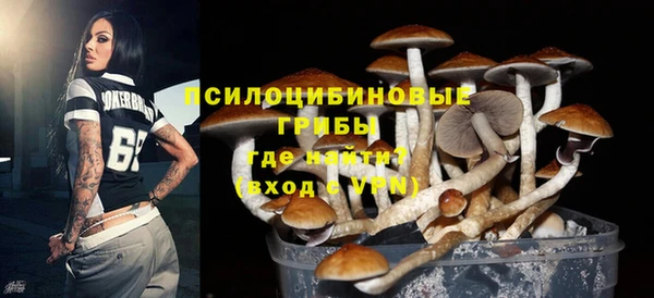 дживик Нефтегорск