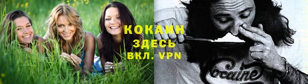дживик Нефтегорск