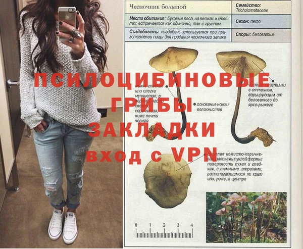 мет Надым