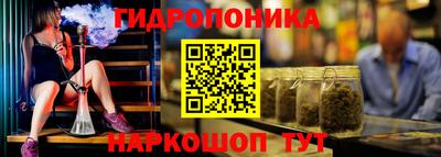 сатива Усть-Джегута